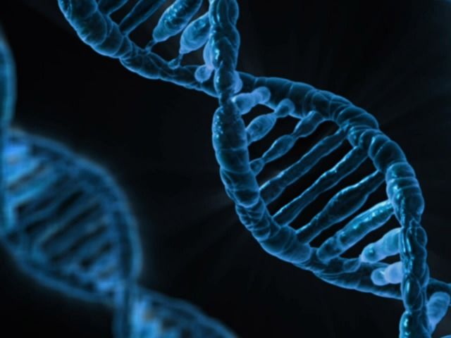 What is a gene?