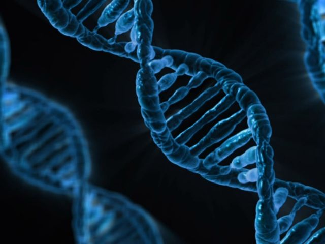 What is a gene?