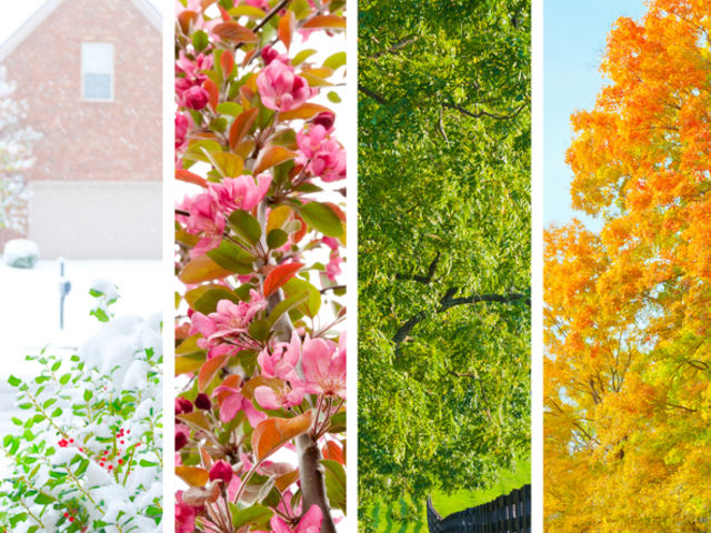Which season makes you feel the most excited about life?