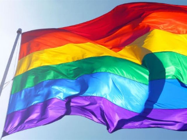 Do you support the federal legalization of gay marriage?