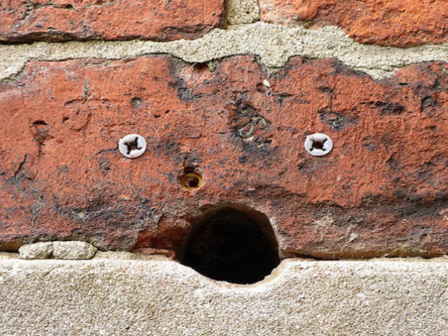 What did you notice first? (Don't look for the face! Just pick what you saw first).