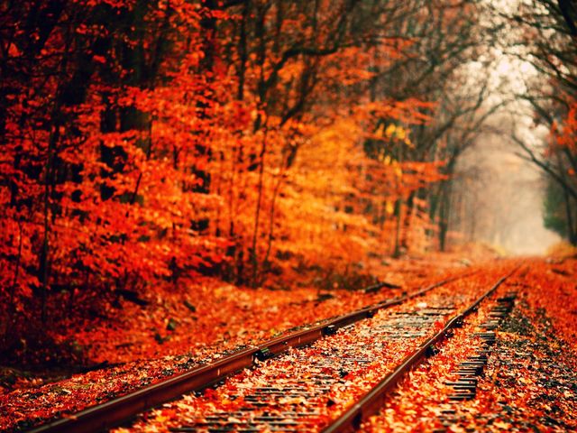 What's Your Favorite Season?