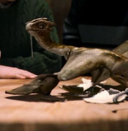 Norbert