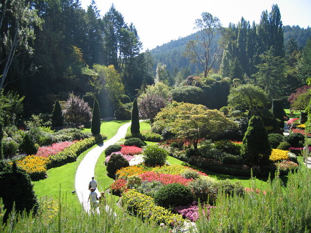 What would you want most in your dream garden?