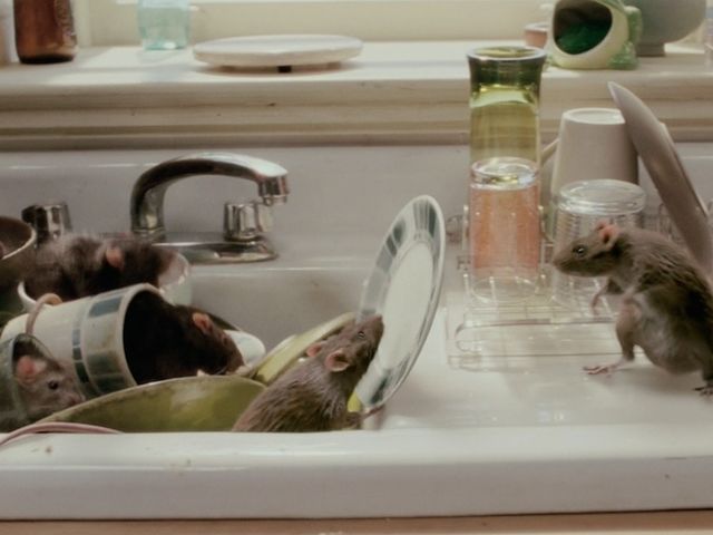 Choose the movie with the best Princess clean-up.