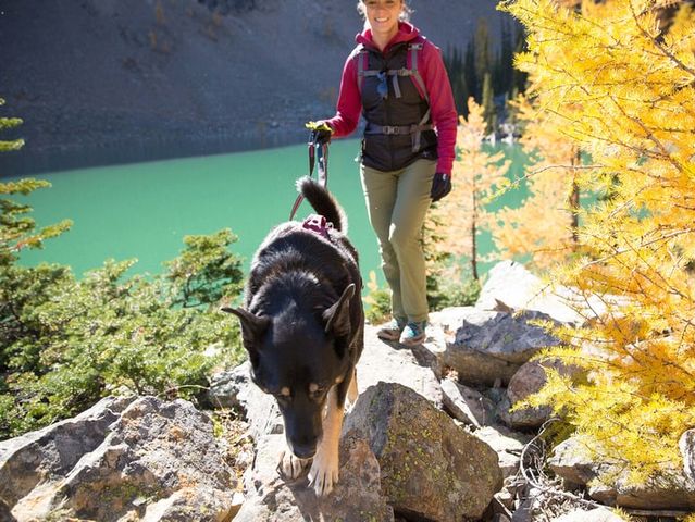 Choose a hiking companion: