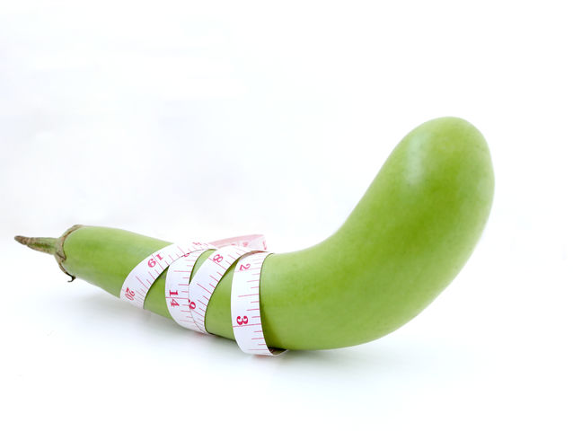 What is the average length of an erect penis?
