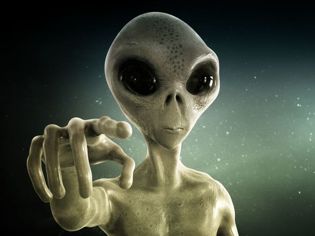 If an alien approached you, you would say: