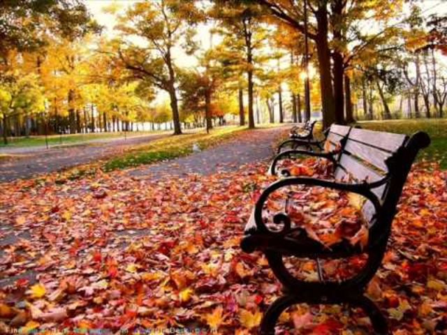 Good October morning! It's brisk and chilly. What are you having for breakfast?