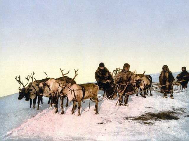 How many layers of clothing should you wear on a daily basis in the Arctic?