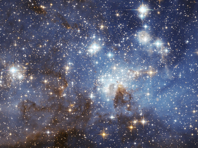 What's your zodiac sign by birth?