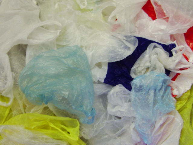 The six-member New York State Plastic Bag Task Force will examine the environmental impact of plastic bags throughout the city and state.