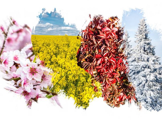 Which season do you enjoy the most?