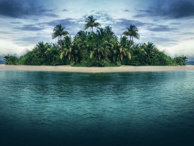 Tu as réussi à atteindre miraculeusement une île à la nage, quand tu y arrives que fais-tu ?