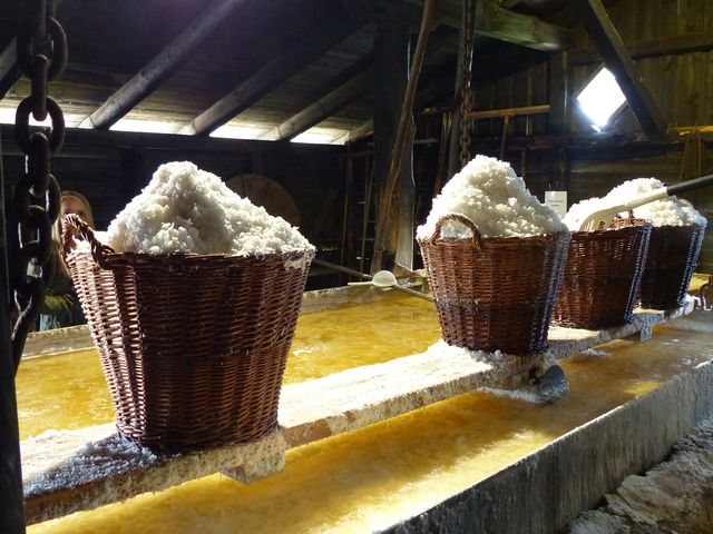 Hvorfra udvinder Læsø Saltsyderi saltet?