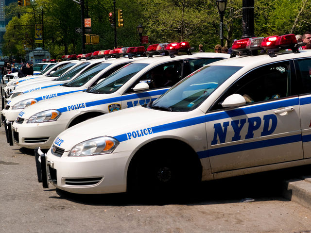 According to a recent report, the number of what conducted by NYPD officers has plummeted in the past few years?