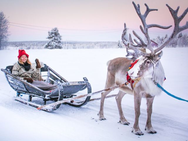 Pick an activity to do with your pet reindeer: