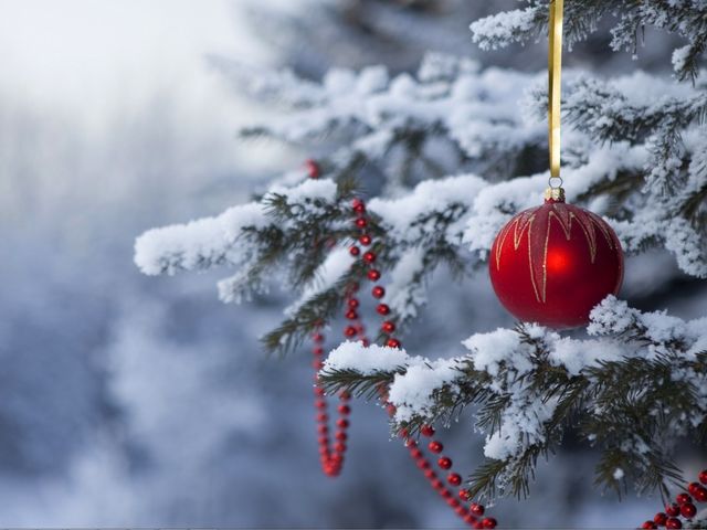 What's your favorite part of the Holiday season?