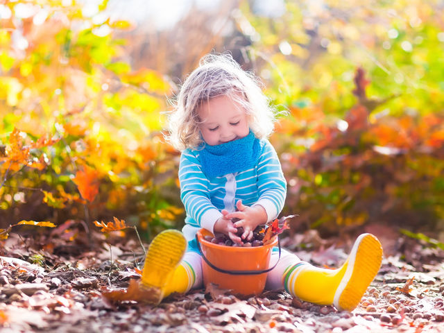 What is your favorite thing about the seasons changing?