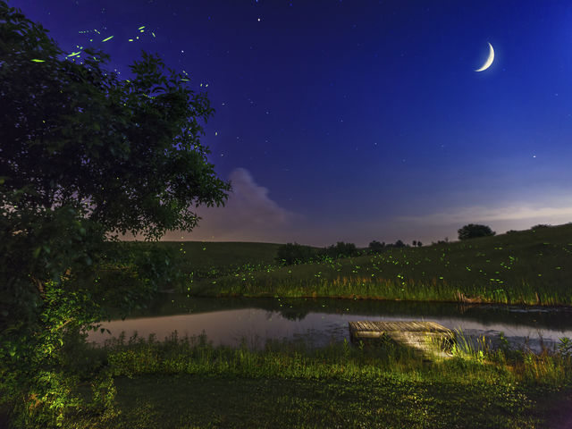 What does your ideal evening look like?