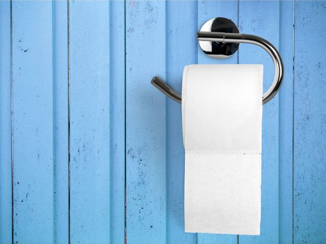How do you like your toilet paper?