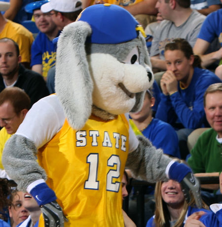 Jackrabbits