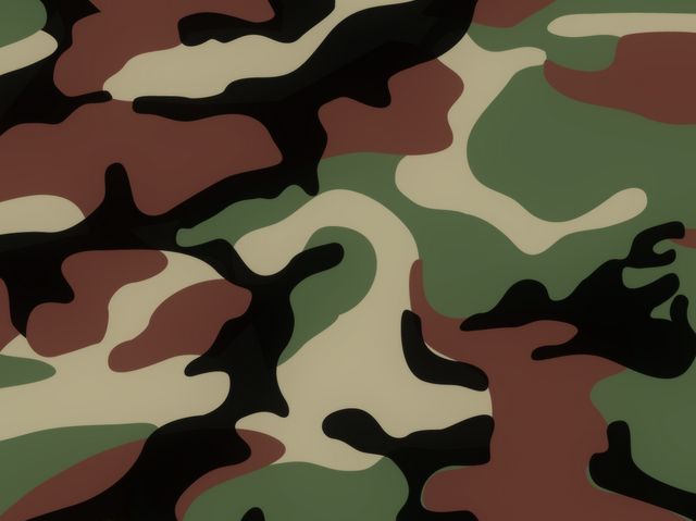 Military Camouflage Patterns New Can You Name These Famous Military Camo Patterns Playbuzz Military Camouflage Patterns New Can You Name These Famous Military Camo Patterns Playbuzz