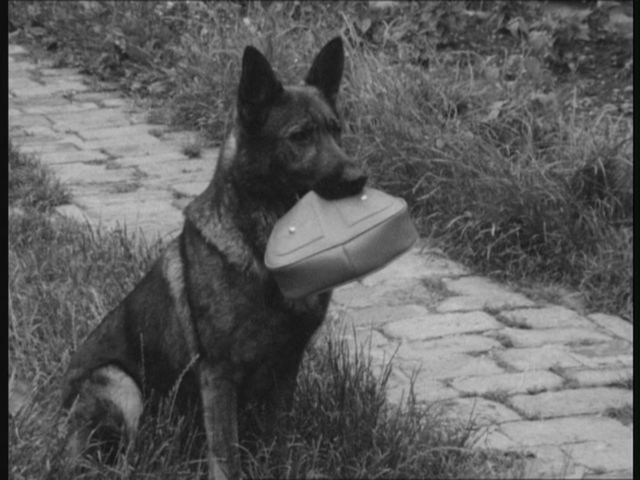 5 részes, fekete-fehér magyar krimisorozat, melyet 1975–76-ban forgattak.