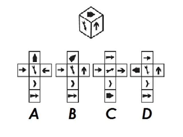 Looking at the cube - which net matches the cube?