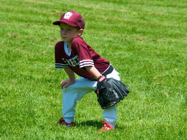A new law mandates that NYC parks must provide free what to youth baseball teams?
