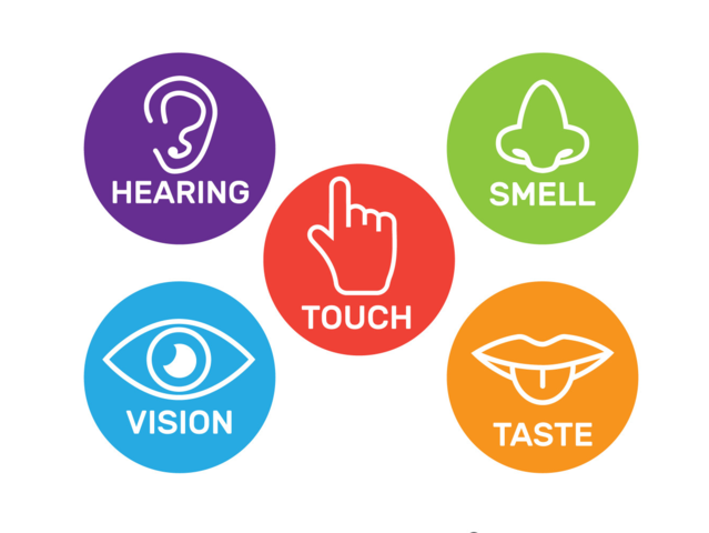 Which of your senses do you most rely on?