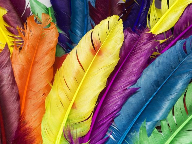 What is your favorite color?