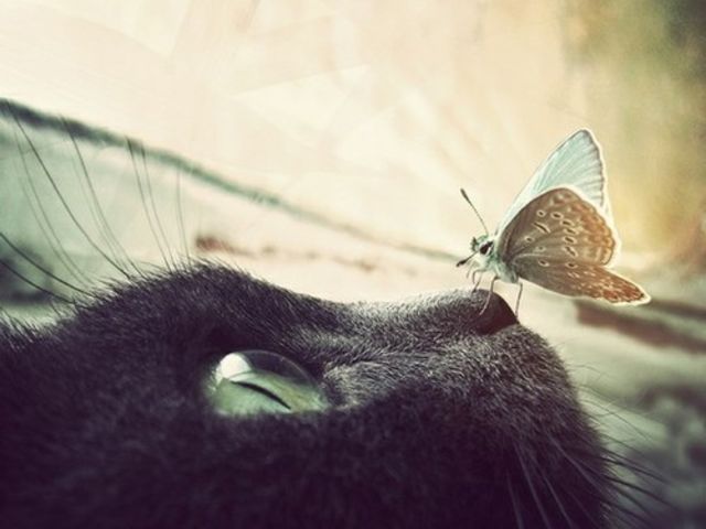 How do others perceive you?