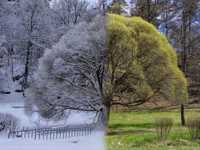 What's your ideal climate?