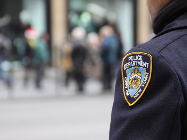 NYPD officers were called on Wednesday to retrieve what animal that escaped from a slaughterhouse in Queens?