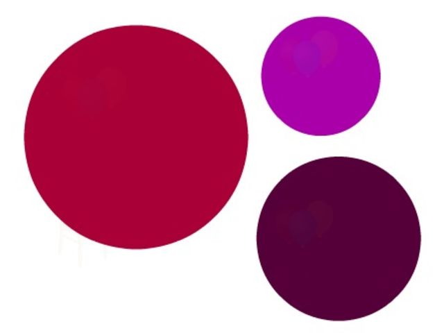 What can you see in the circles?