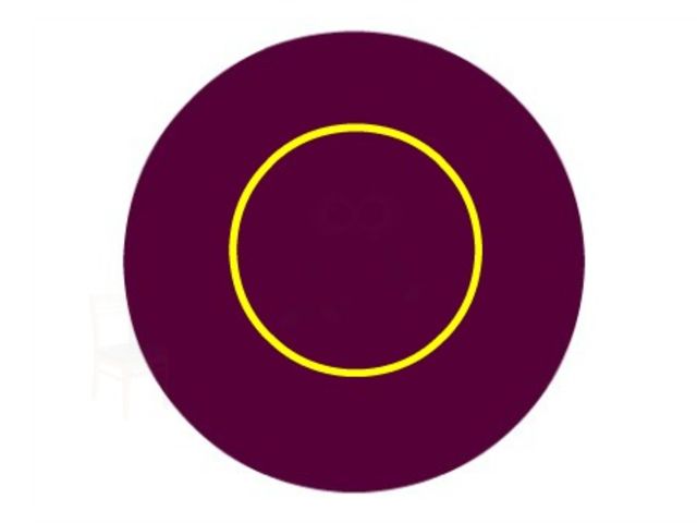Do you see anything inside the circle?