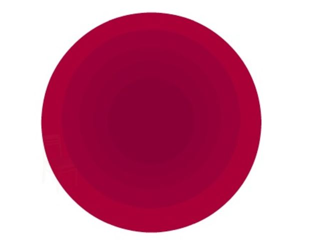 How many circles are inside this circle?