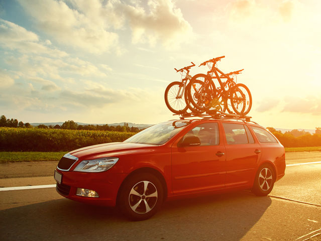 Do you drive a car, ride a bike, or take public transportation?