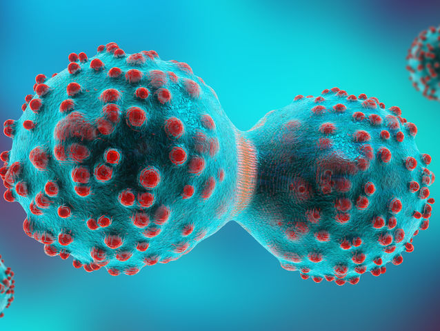 The two main groups into which cells are classified are _____.