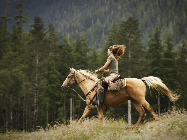 What is the most adventurous thing you ever did?