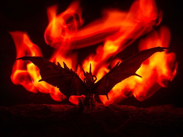 Fire: Friend or Foe?