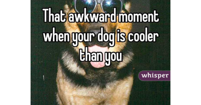 Does this sound like you?