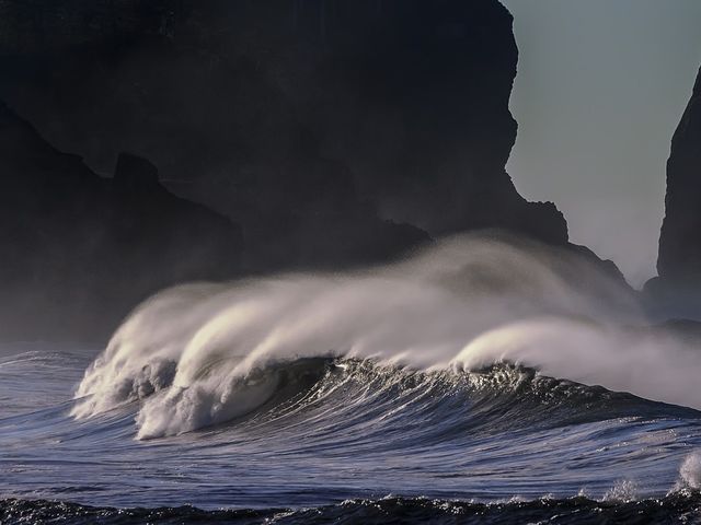 When you stand in front of the ocean, what words come to mind?