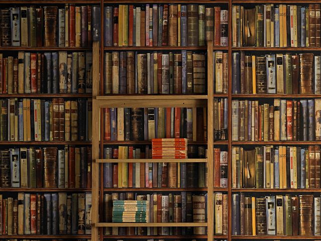 Qual desses tipos de livro chama mais a sua atenção?