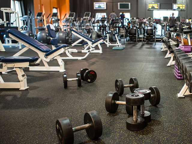 How often do you go to the gym?