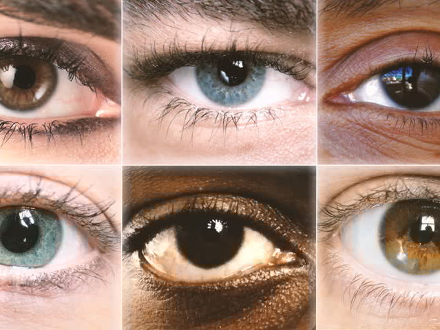 Let's start off with an easy question. What is your eye color?