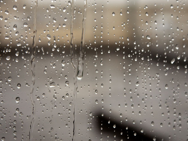 It is raining really hard outside today. You decide to...