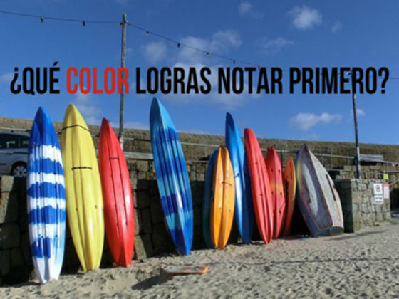¿Qué profesión va contigo de acuerdo a tu coeficiente intelectual de los colores?