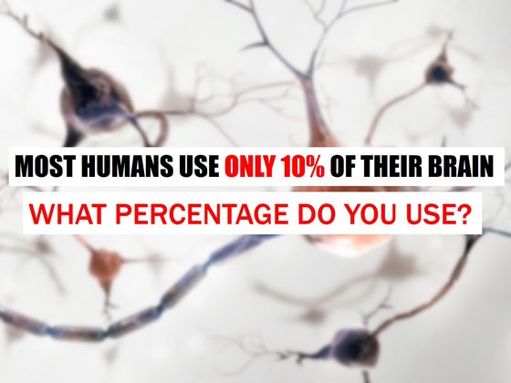 ?רוב האנשים מנצלים רק כ-10% מהמוח שלהם. כמה אתם מנצלים?